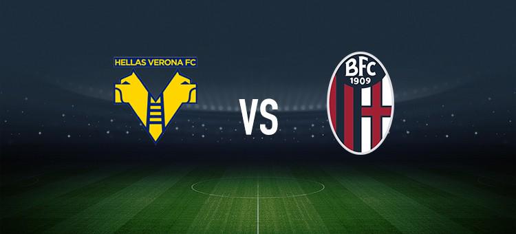 动态提供了 动态提供了