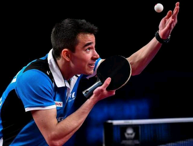 提供了有力 提供了有力