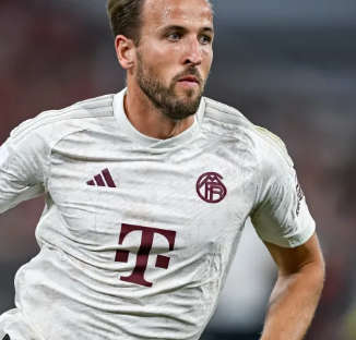 会更快地赢 会更快地赢