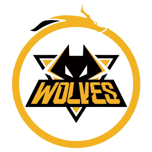 强调收集与 强调收集与